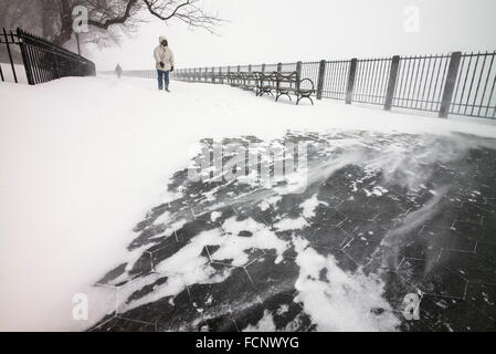 New York, USA. 23 janvier, 2016. La poudrerie sur Brooklyn Heights Promenade au cours de blizzard Crédit : Joseph Reid/Alamy Live News Banque D'Images