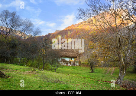 Hutte traditionnelle dans les Carpates paysage, Roumanie Banque D'Images