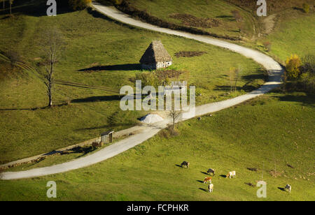 Hutte traditionnelle dans les Carpates avec un cruve road, en forme de Roumanie Banque D'Images