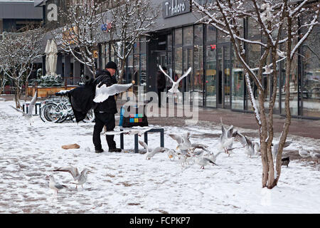 L'homme rss faim mouettes sur une chaussée urbaine enneigés dans Winer, Mitte, Berlin Banque D'Images