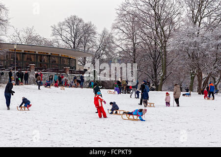 Familles et enfants avec des traîneaux sur une pente enneigée dans un parc public en hiver, Berlin, Mitte, Volkspark suis Weinbergsweg, Banque D'Images