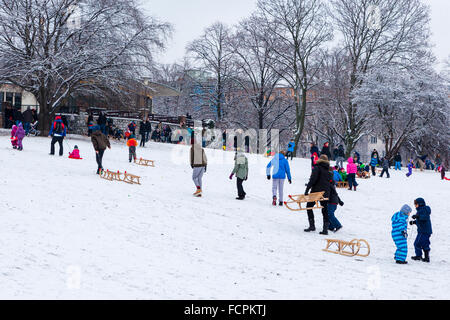 Berlin, Mitte, Volkspark suis Weinbergsweg, familles et enfants avec des traîneaux sur une pente enneigée dans un parc public en hiver Banque D'Images