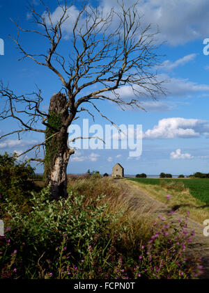 À E le long de la voie romaine à Othona fort & la 7e siècle, la chapelle-sur-Mer de Bradwell, construit de matériaux réutilisés sur le fort romain de w gate. Banque D'Images