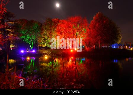 Enchanted Woodland à Syon Park, Londres, UK Banque D'Images