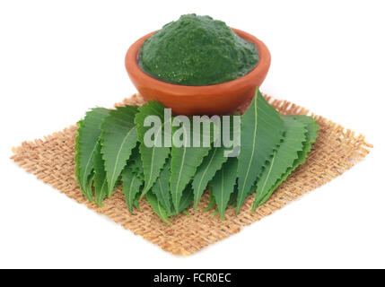 Fresh et de la purée de feuilles de neem médicinales ove fond blanc Banque D'Images