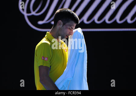 Melbourne Park, Melbourne, Australie. 24 Jan, 2016. Novak Djokovic (SRB) © Plus Sport Action/Alamy Live News Banque D'Images