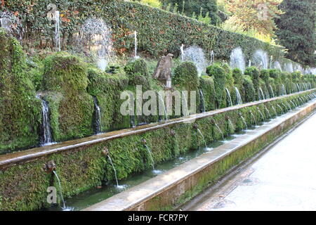 Cent fontaines de la Villa d'Este à Tivoli, Italie Banque D'Images