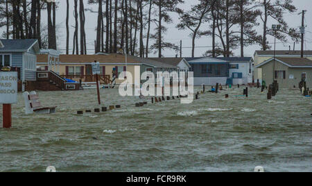 Ravages tempête et Delaware Maryland côtières Eaux intérieures : Surge entraînée par les vents violents d'inonder les quartiers, routes et casse au vagues Pelouses le long long cou Road, Millsboro Delaware. Banque D'Images