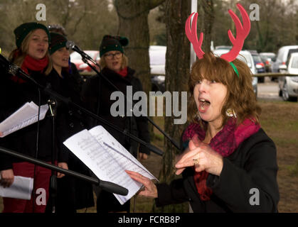 La femme 'local' Le Petit Choeur lors d'un 2015 de cantiques de Noël, Hindhead, Surrey, UK. Banque D'Images