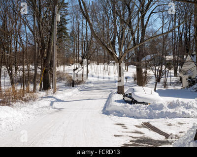 Chappaqua, New York. 24 janvier 2016. Le temps de sortir des couvertures de neige après suburban Westchester County New York le lendemain de la première tempête de 2016 dans la région. Credit : 2016 Marianne Campolongo/Alamy Live News Banque D'Images