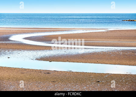 Plage sur la péninsule de Ards en Irlande du Nord à marée basse Banque D'Images