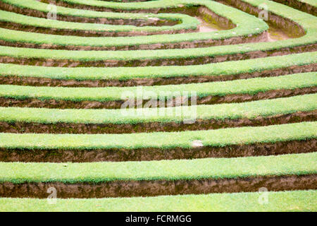 Cockington Green Gardens en territoire de la capitale australienne, les mini-jardins comprennent les villages anglais et international Banque D'Images