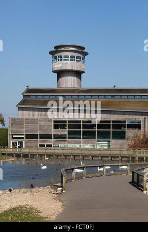 Wildfowl and Wetlands Trust, Centre d'accueil. Slimbridge. Le Gloucestershire. L'Angleterre. L'Administration centrale. Banque D'Images
