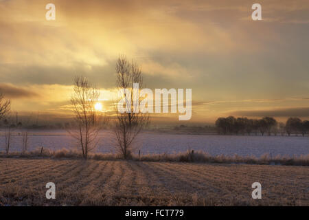 Coucher du soleil d'hiver sur les terres agricoles avec des arbres dans l'Idaho Banque D'Images