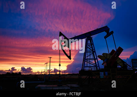 Les derricks de pétrole sur fond de magnifique coucher de soleil, Kaliningrad, Russie Banque D'Images