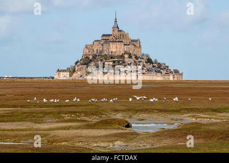 Mont Saint-Michel (Saint Michael's Mount), (Normandie, nord-ouest de la France) : Mont Saint-Michel vue des marais salants. Banque D'Images