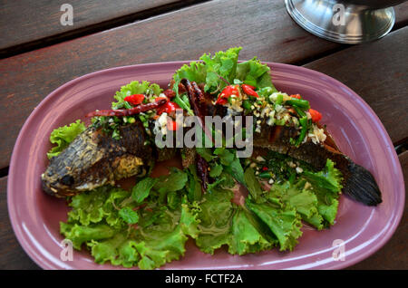 Le poisson à tête de serpent servir avec frites et sauce épicée aux herbes au restaurant en Thailande Banque D'Images