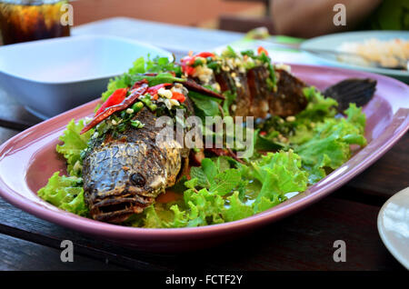 Le poisson à tête de serpent servir avec frites et sauce épicée aux herbes au restaurant en Thailande Banque D'Images