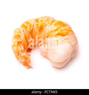 Tropicale des Caraïbes cuites ( Bahamas ) le homard (Panuliirus argus) ou queue de langouste isolated on a white background studio. Banque D'Images