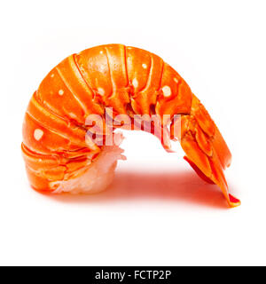 Tropicale des Caraïbes cuites ( Bahamas ) le homard (Panuliirus argus) ou queue de langouste isolated on a white background studio. Banque D'Images