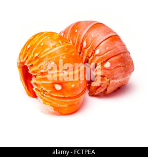 Tropicale des Caraïbes cuites ( Bahamas ) le homard (Panuliirus argus) ou des queues de langouste isolated on a white background studio. Banque D'Images