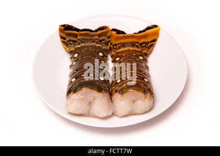 Les Caraïbes ( Bahamas ) langouste (Panuliirus argus) ou des queues de langouste isolated on a white background studio. Banque D'Images