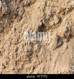 Tas de sable au chantier de construction. Arrière-plan de la nature. Banque D'Images