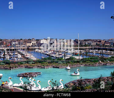 Bangor Marina Parc Pickie Bangor Down Cygnes pédalos Banque D'Images