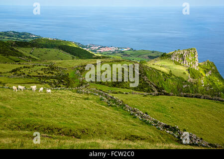 Lajes, Ilha das Flores, Açores Banque D'Images