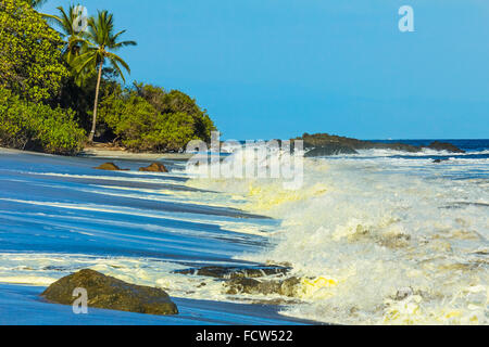 Surf & jaune d'algues sur la plage de Montezuma dans ce resort sur la Péninsule de Nicoya extrémité SE ; Montezuma, Puntarenas, Costa Rica Banque D'Images