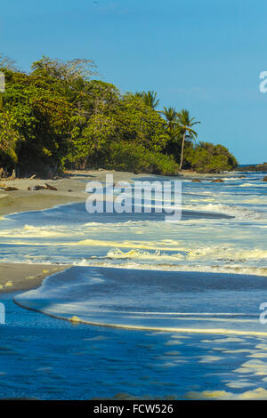 Surf & jaune d'algues sur la plage de Montezuma dans ce resort sur la Péninsule de Nicoya extrémité SE ; Montezuma, Puntarenas, Costa Rica Banque D'Images