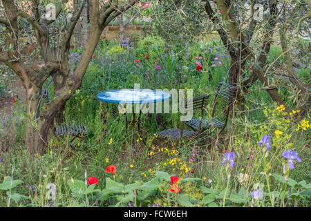 Un jardin du parfumeur à Grasse par L'Occitane conçu par James basson. RHS Chelsea Flower Show 2015. Banque D'Images