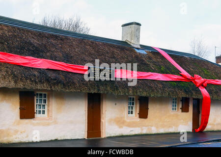 Alloway, l'Ayrshire, UK. 25 Jan, 2016. Pour célébrer le 257th anniversaire de Robert Burns, le monde célèbre le 18e siècle Scot Bard, son chalet à Alloway dans Ayrshire a été décoré pour ressembler à un cadeau d'anniversaire. Le chalet, Alloway cimetière et près de musée sont les principales attractions touristiques et au cours de l'anniversaire, événements spéciaux et 'Burns Suppers' ont lieu au chalet. Credit : Findlay/Alamy Live News Banque D'Images