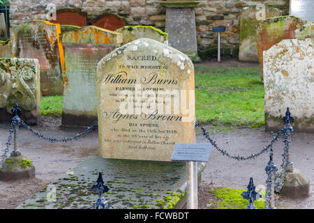 Alloway, l'Ayrshire, UK. 25 Jan, 2016. Pour célébrer le 257th anniversaire de Robert Burns, le monde célèbre le 18e siècle Scot Bard, son chalet à Alloway dans Ayrshire a été décoré pour ressembler à un cadeau d'anniversaire. Le chalet, Alloway cimetière et près de musée sont les principales attractions touristiques et au cours de l'anniversaire, événements spéciaux et 'Burns Suppers' ont lieu au chalet. Credit : Findlay/Alamy Live News Banque D'Images