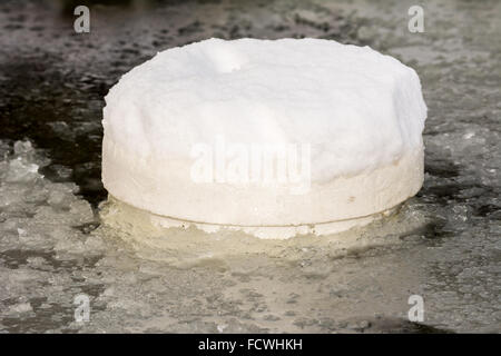 Médicament de glace flottante faite de styrofoam dans un étang gelé Banque D'Images