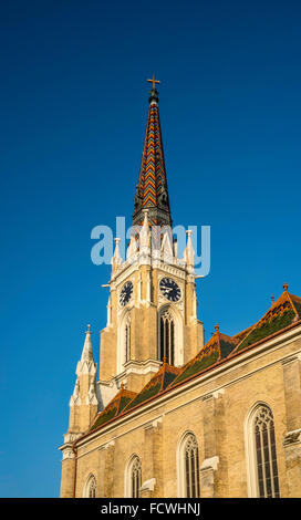 La cathédrale catholique romaine, 1895, à Trg Slobode (Place de la Liberté) à Novi Sad, en Voïvodine, Serbie Banque D'Images