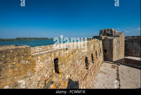 Mur de la Citadelle de Despot Djuraj (ville intérieure), sur le Danube, la forteresse de Smederevo, cité médiévale fortifiée à Smederevo, Serbie Banque D'Images