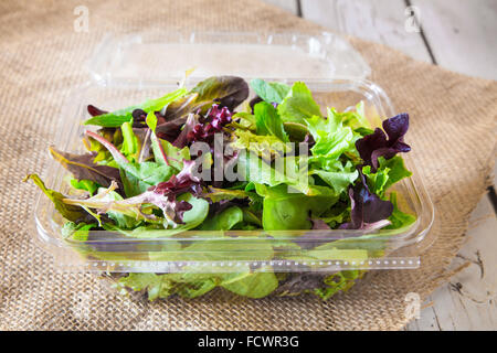 Salade de printemps verts en mélange contenant en plastique Banque D'Images