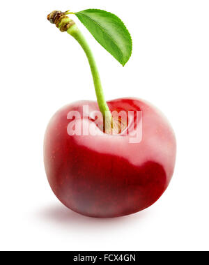 Sweet Cherry isolé sur le fond blanc. Banque D'Images