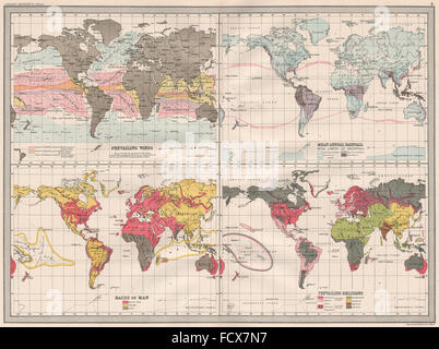 Monde : Les vents dominants de neige pluie courses limite les religions, 1890 Ancien site Banque D'Images