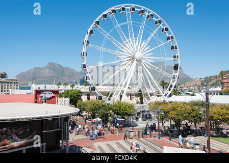 'Cape' Roue au Victoria & Albert Waterfront, Cape Town, Western Cape Province, République d'Afrique du Sud Banque D'Images