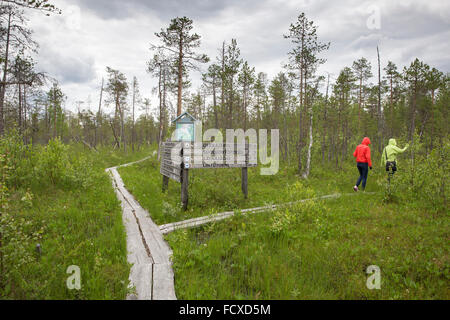 Les touristes sur un sentier de la nature d'Aapa mire dans le marais et les bois du cercle arctique, région de randonnée près de Rovaniemi, Finlande Banque D'Images