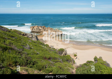 Plage côtière sur Garden Route, Brenton-on-Sea, Eden, municipalité de district de la province de Western Cape, Afrique du Sud Banque D'Images