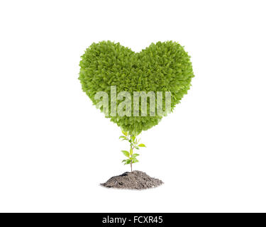 Image conceptuelle de plante verte en forme de coeur Banque D'Images