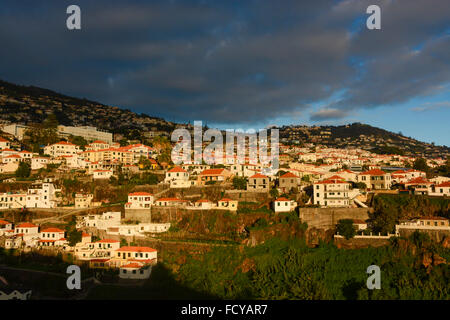 Vue depuis le téléphérique, l'île de Madère, Funchal, Portugal Banque D'Images