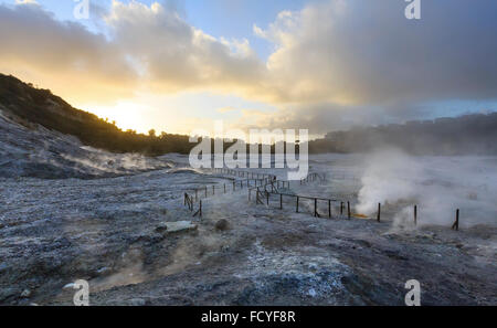 La Solfatare est un petit cratère volcanique à Pozzuoli, près de Naples. Banque D'Images