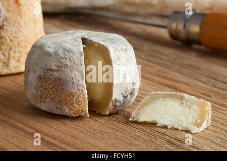 Fromage de chèvre français traditionnel appelé pico chevre Banque D'Images