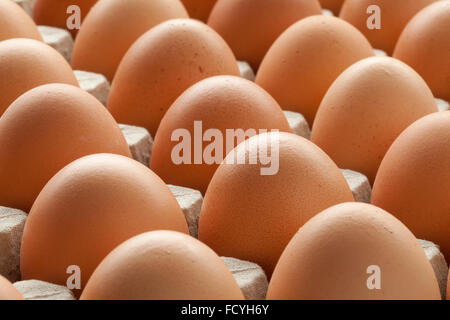 Oeufs frais biologiques en caisse carton brun Banque D'Images