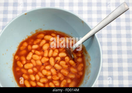 Hienz des fèves à la sauce tomate Banque D'Images