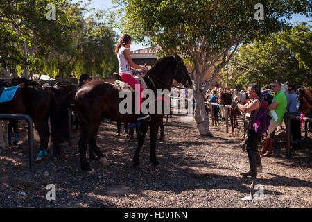 Les cavaliers et les chevaux dans le corral à la Fiesta de San Sebastian, La Caleta, Costa Adeje, Tenerife, Canaries, Espagne. Banque D'Images